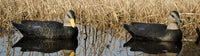 Higdon Battleship Black Duck Decoys Foam Filled